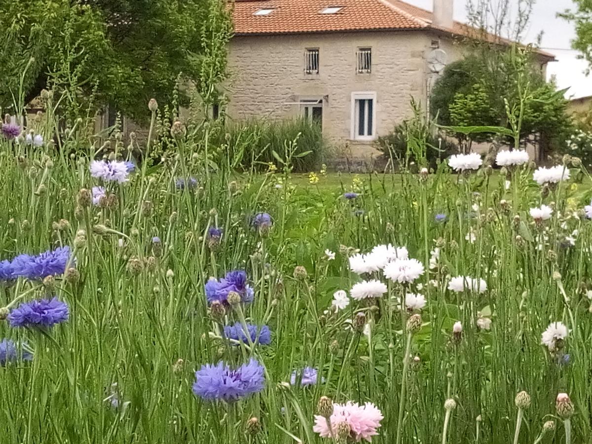 Chambres D'Hotes Chateau Pierre De Montignac Civrac-en-Médoc 외부 사진
