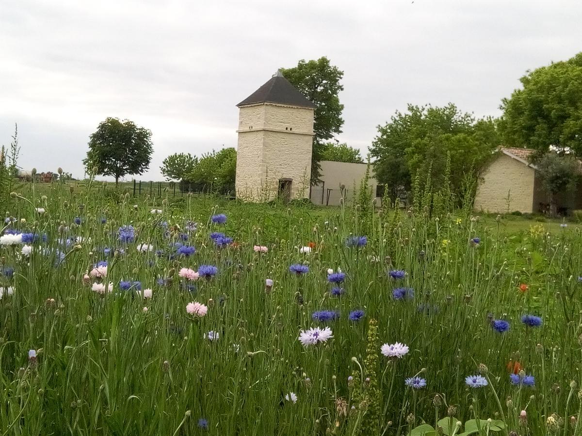Chambres D'Hotes Chateau Pierre De Montignac Civrac-en-Médoc 외부 사진
